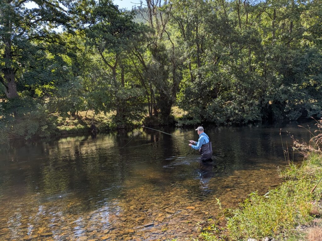 severn free stretch for fishing