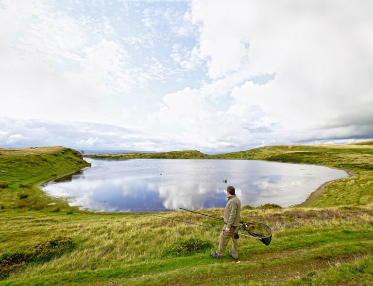 Wild carp in the Welsh Mountains Fishing in Wales