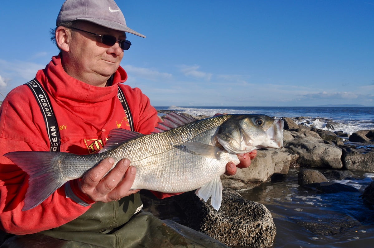 bass fishing wales