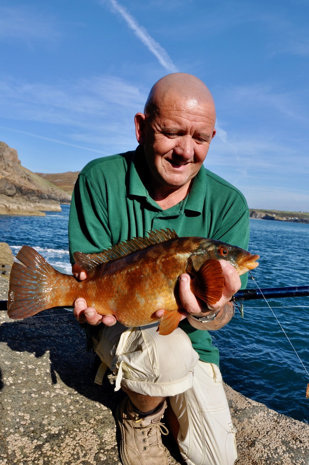 Wrasse fishing In Wales Fishing in Wales