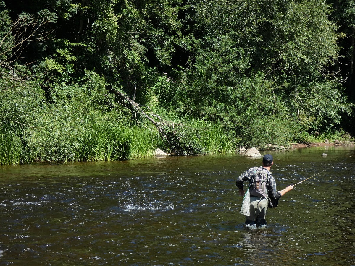 Angling Trust and Fish Legal 2021 Auction: Welsh Angling Opportunities ...