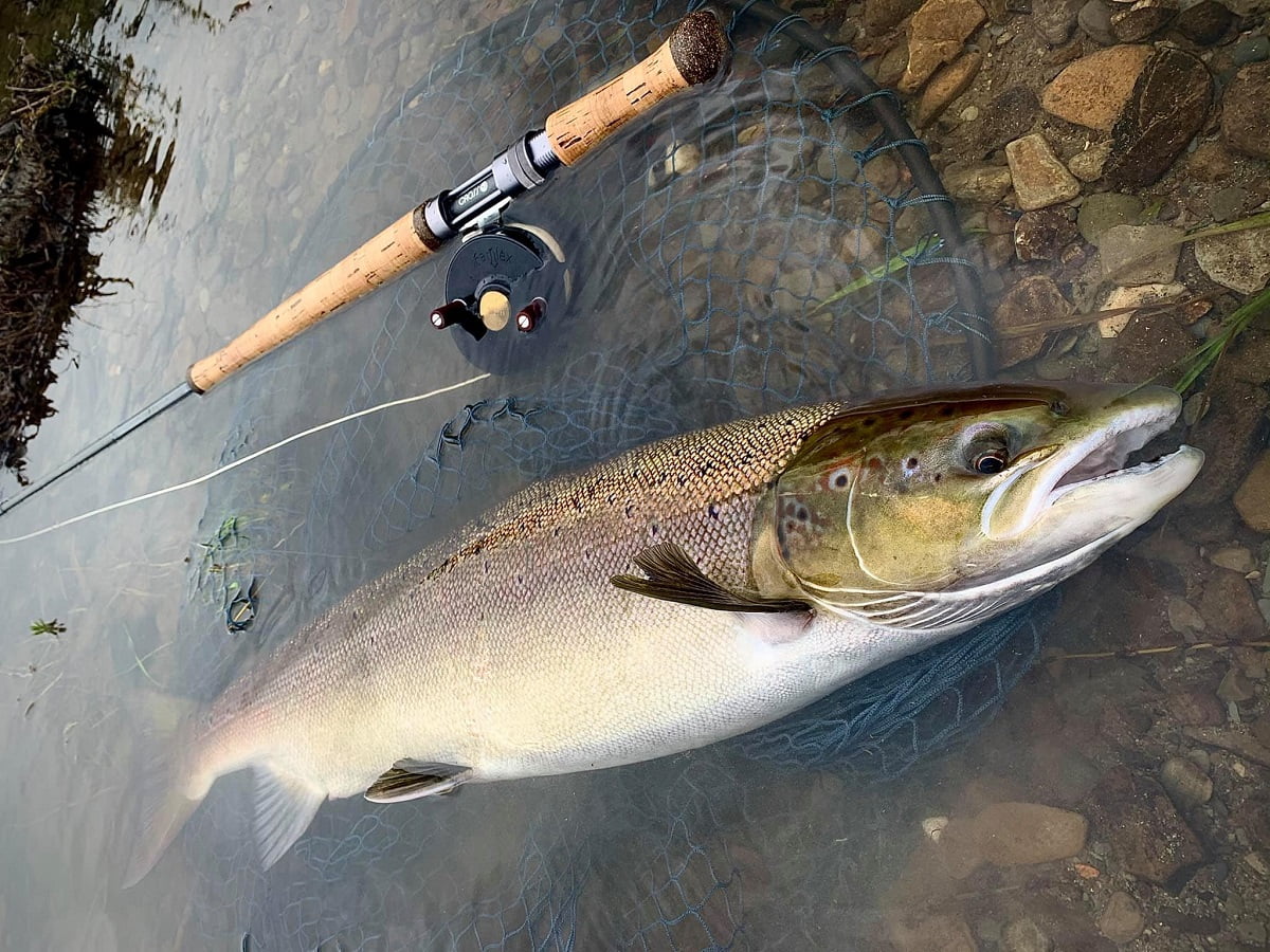 A Greener Side Of The Pandemic Staycation Fishing In Wales Fishing