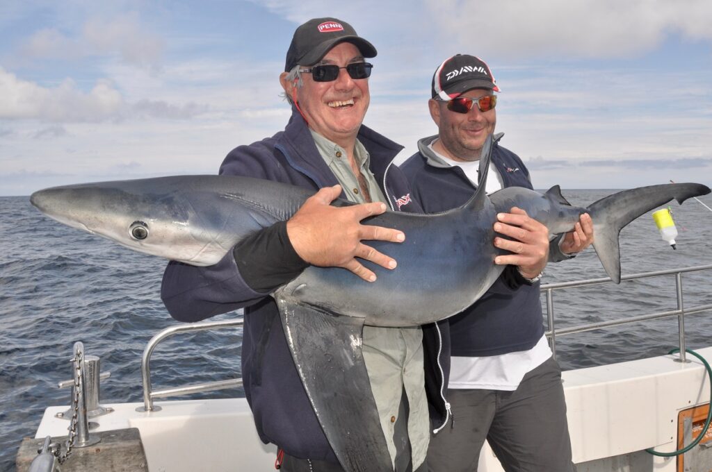 shark fishing wales