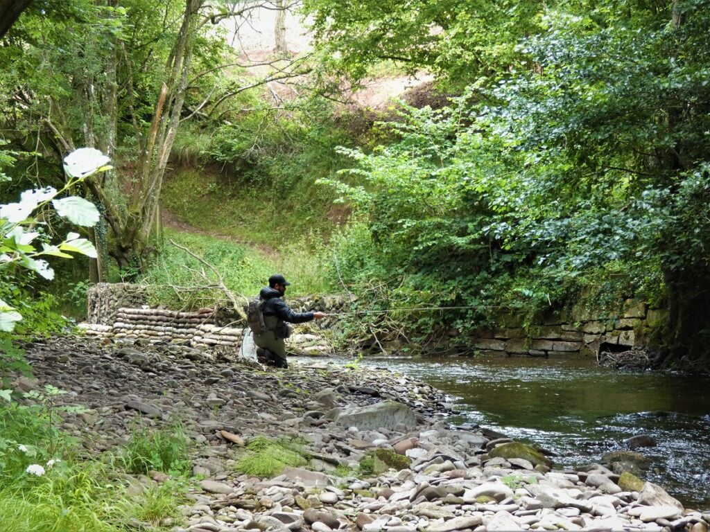 small stream fishing Wales