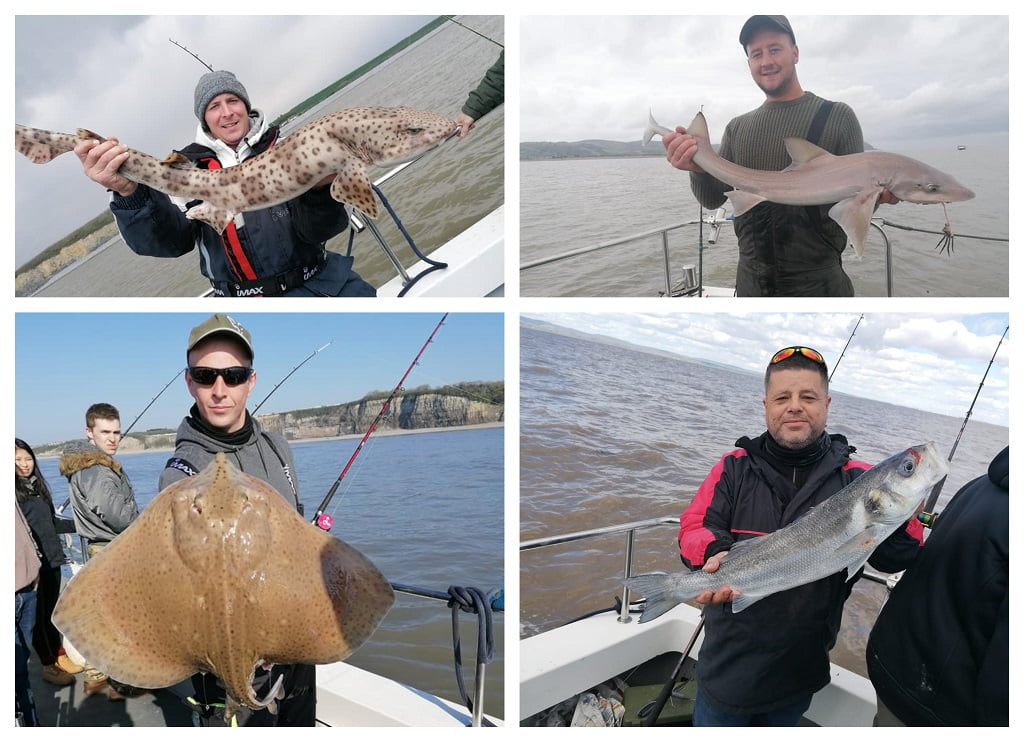 sea fishing in wales