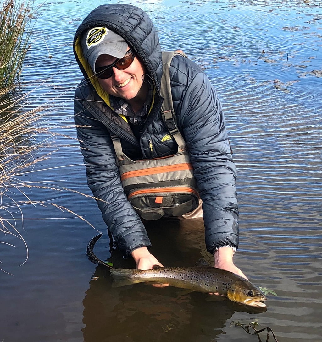 Llyn fishing in Wales: Wild brown trout in the hills - Fishing in Wales