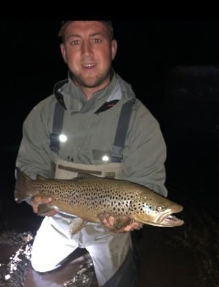 river towy trout