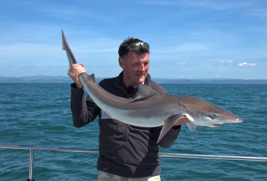 tope fishing Newquay Wales