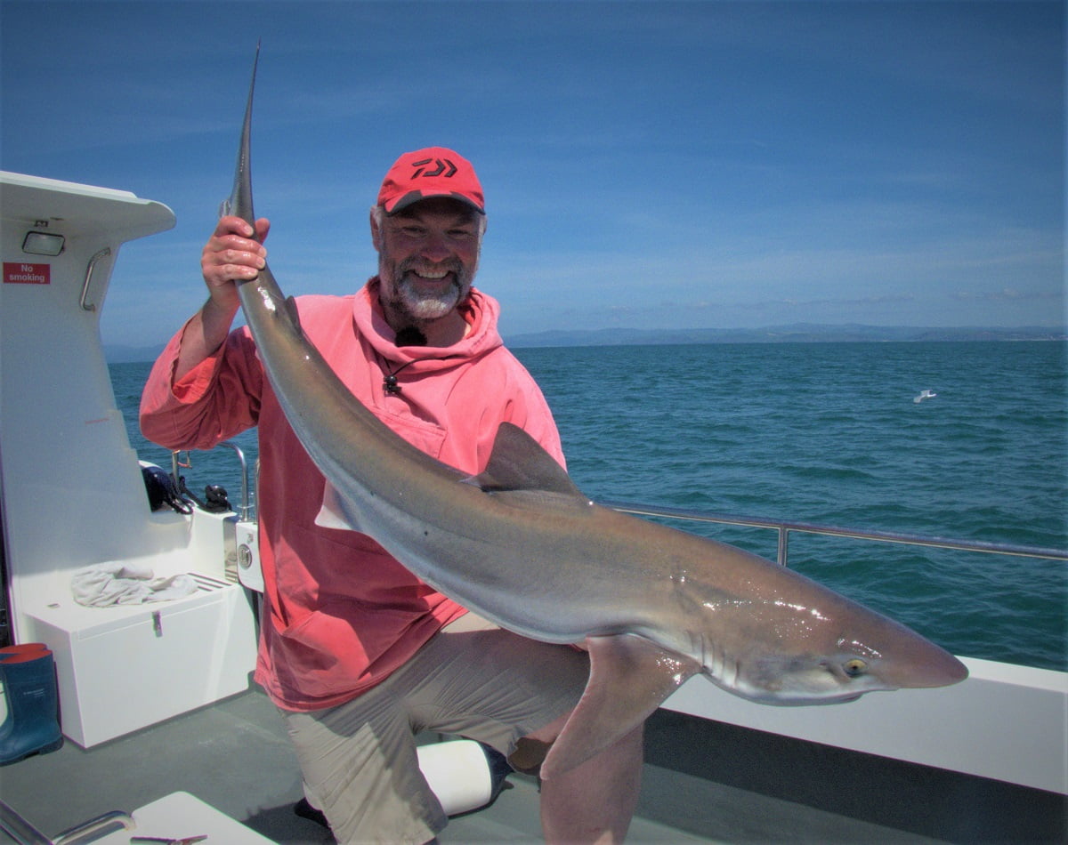 tope fishing in Wales