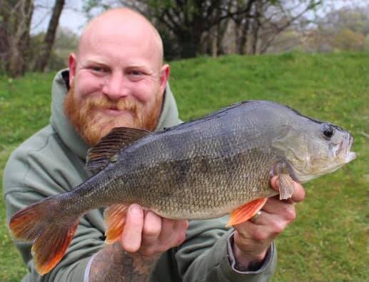 Specimen Perch Fishing In Wales - Fishing in Wales