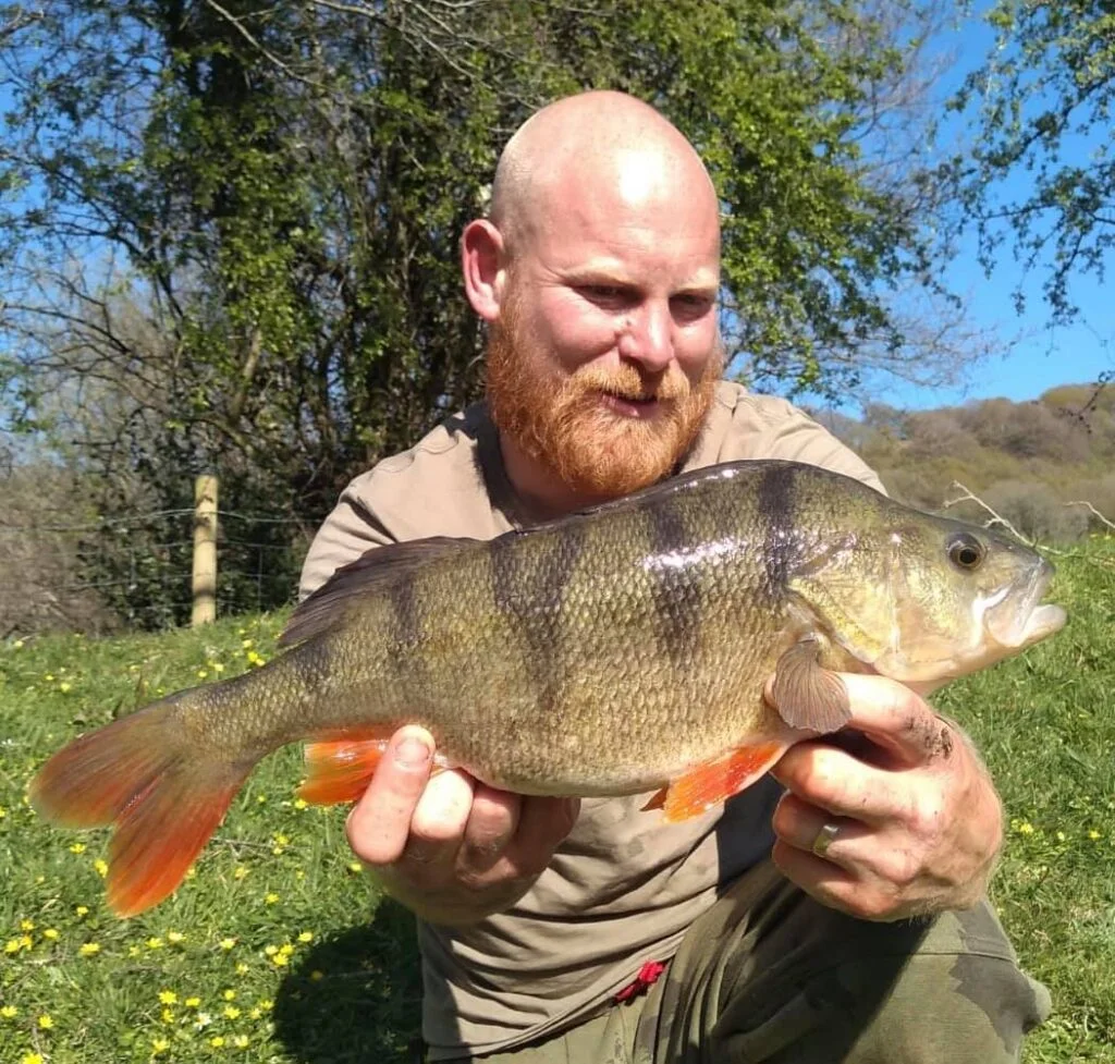 perch fishing in Wales
