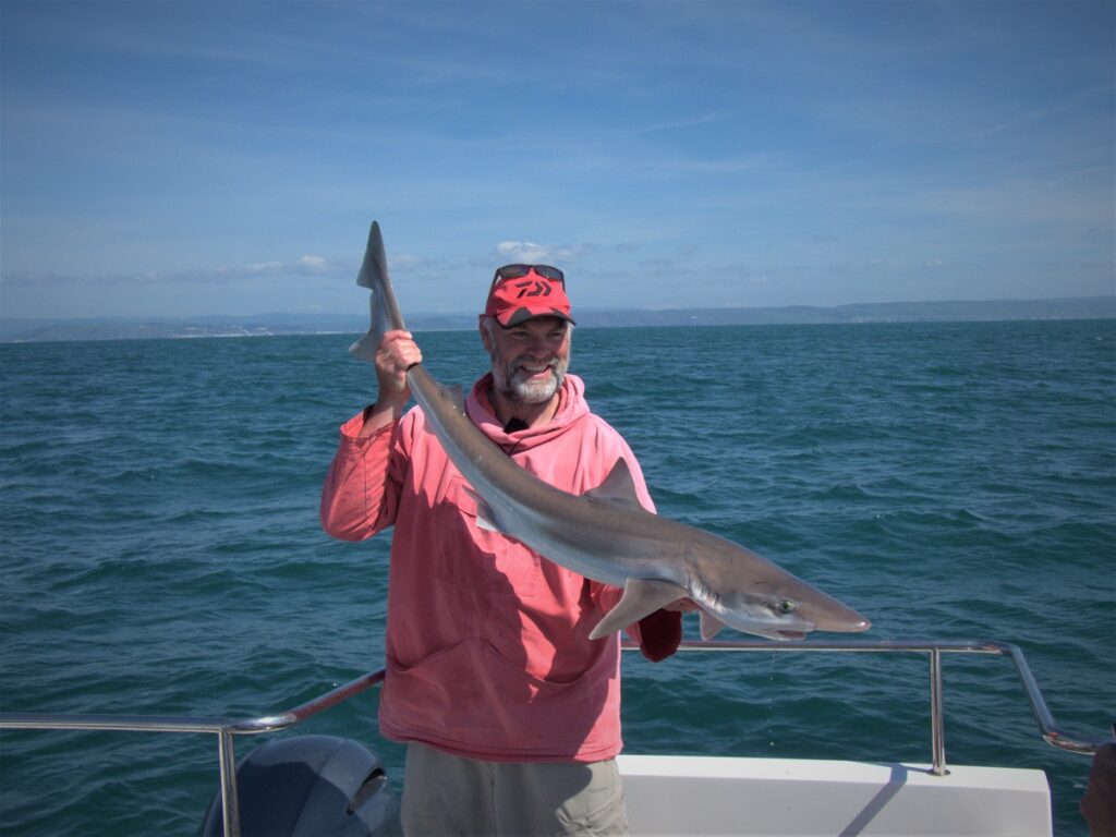 sea fishing Wales tope fishing