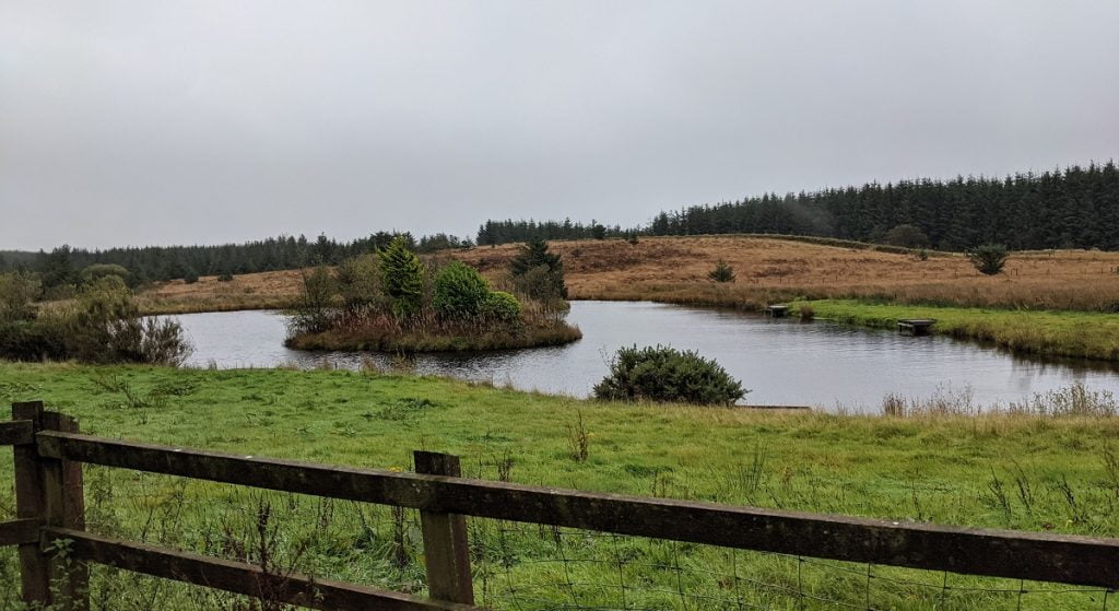 pentwyn fishery llanon