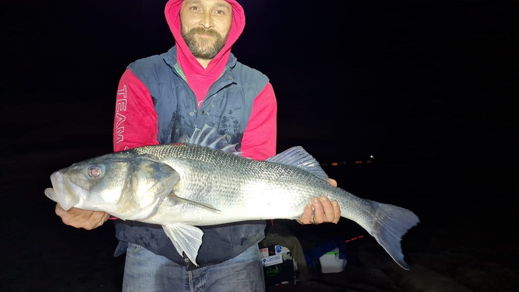 Welsh bass fishing