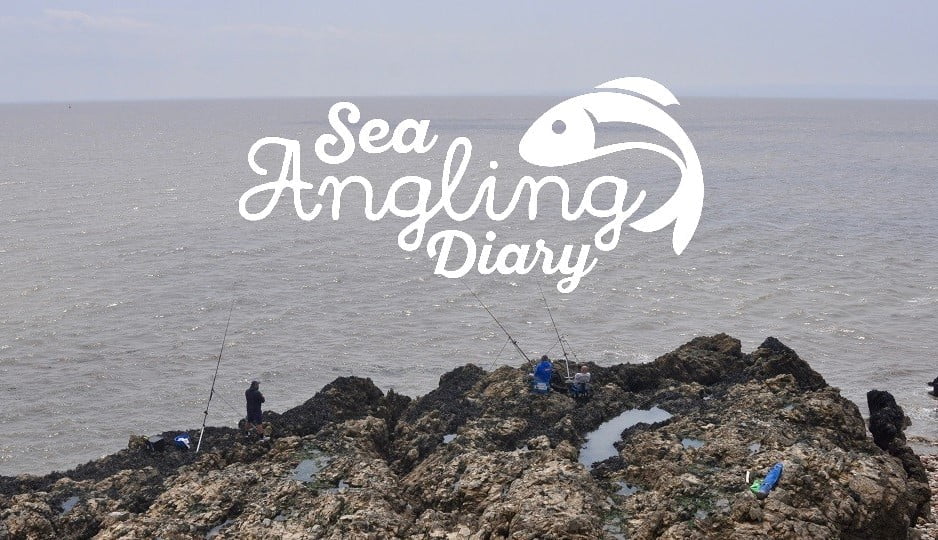 sea angling diary