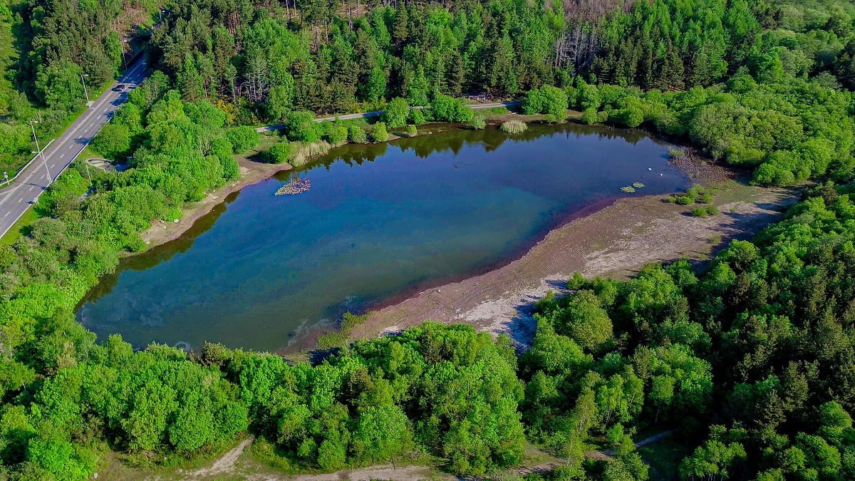 the pluck fishing lake Swansea