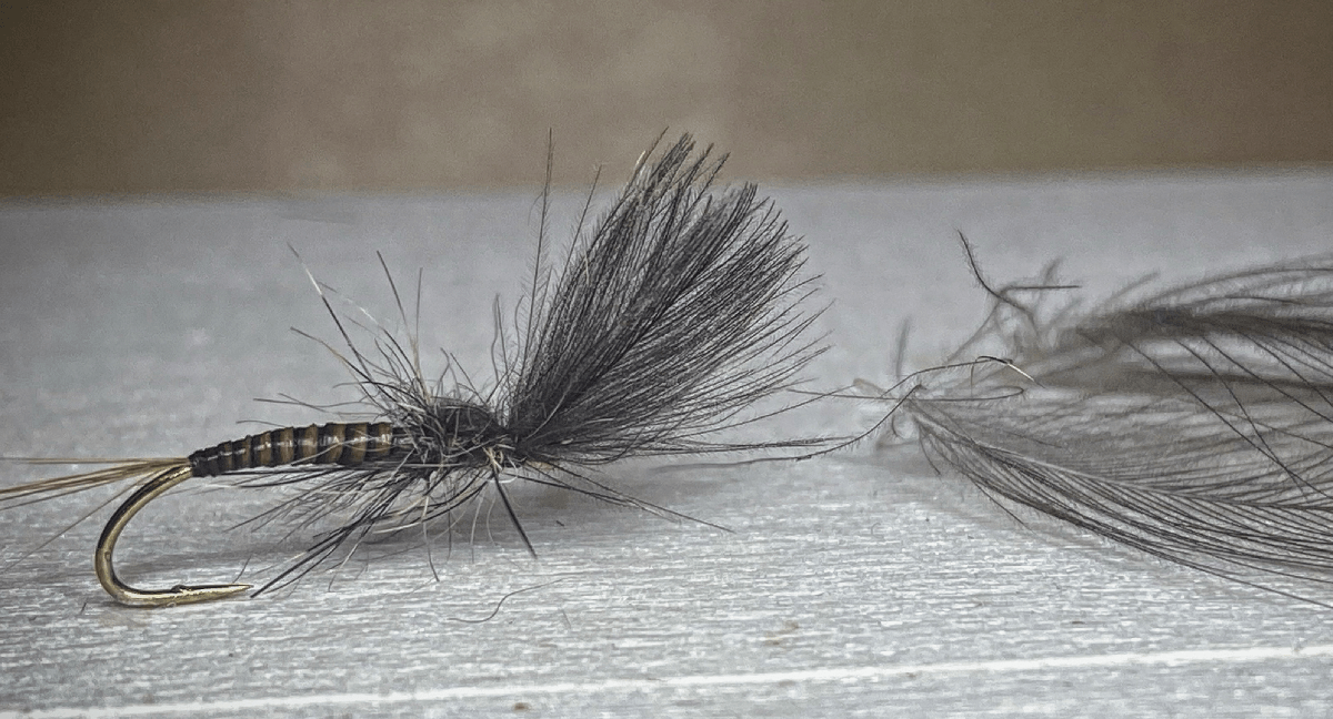 10 Top Flies of a Welsh Fishing Guide Fishing in Wales