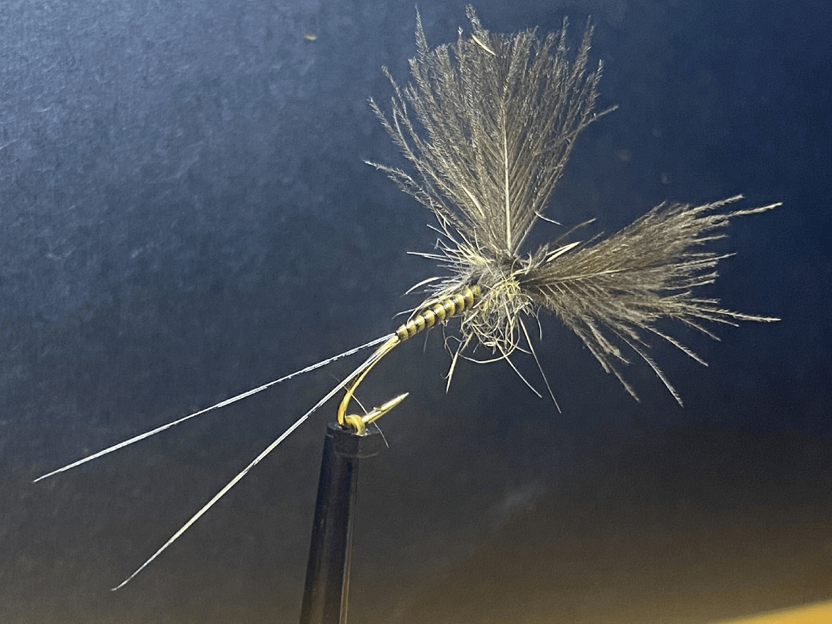 10 Top Flies of a Welsh Fishing Guide Fishing in Wales