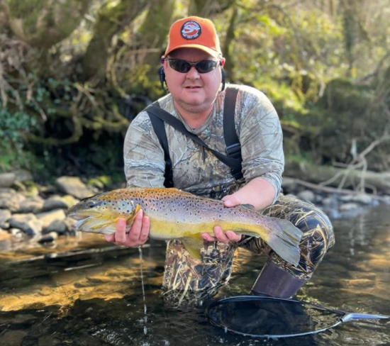 river tawe brown trout
