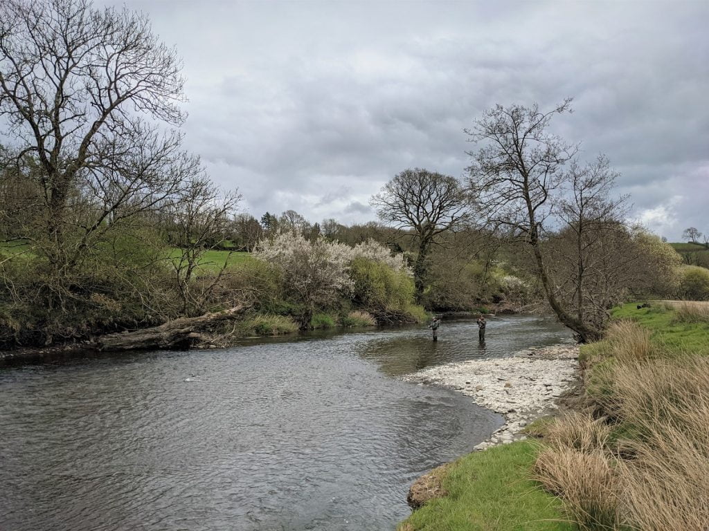 river fly fishing teifi