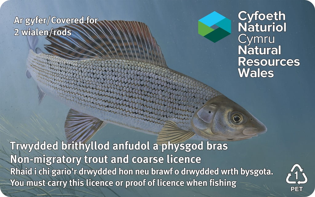 fishing rod licence Wales