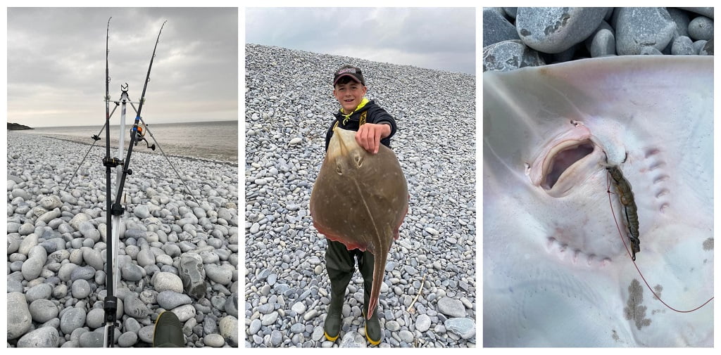 Sea Fishing Catch Reports - Fishing in Wales