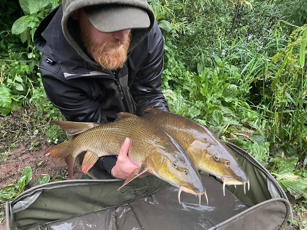 barbel fishing wales river wye