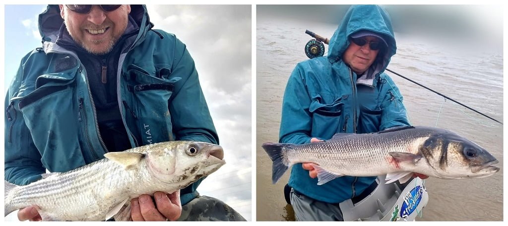 sea fishing in Wales