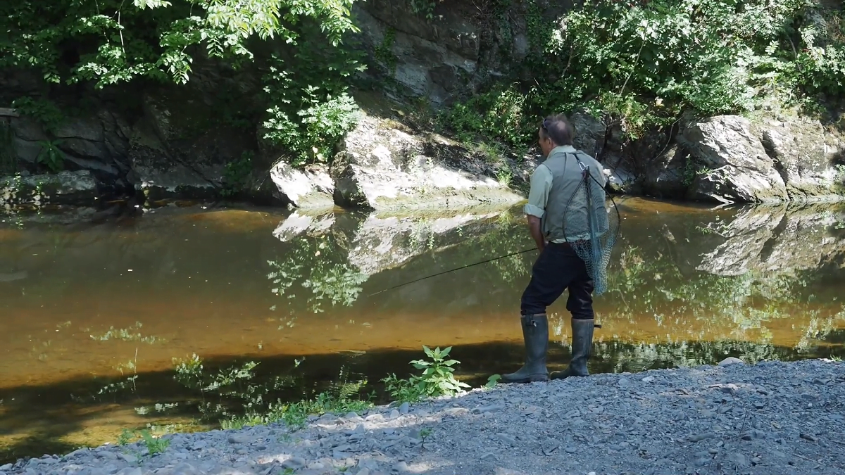 Vale of clywd angling club