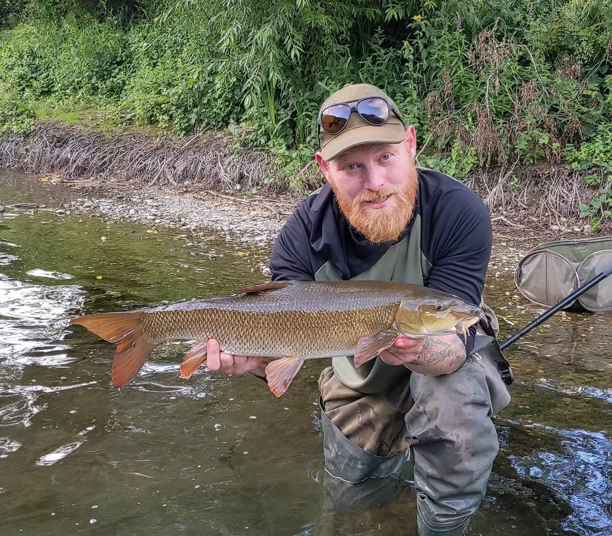 river wye barbel fishing