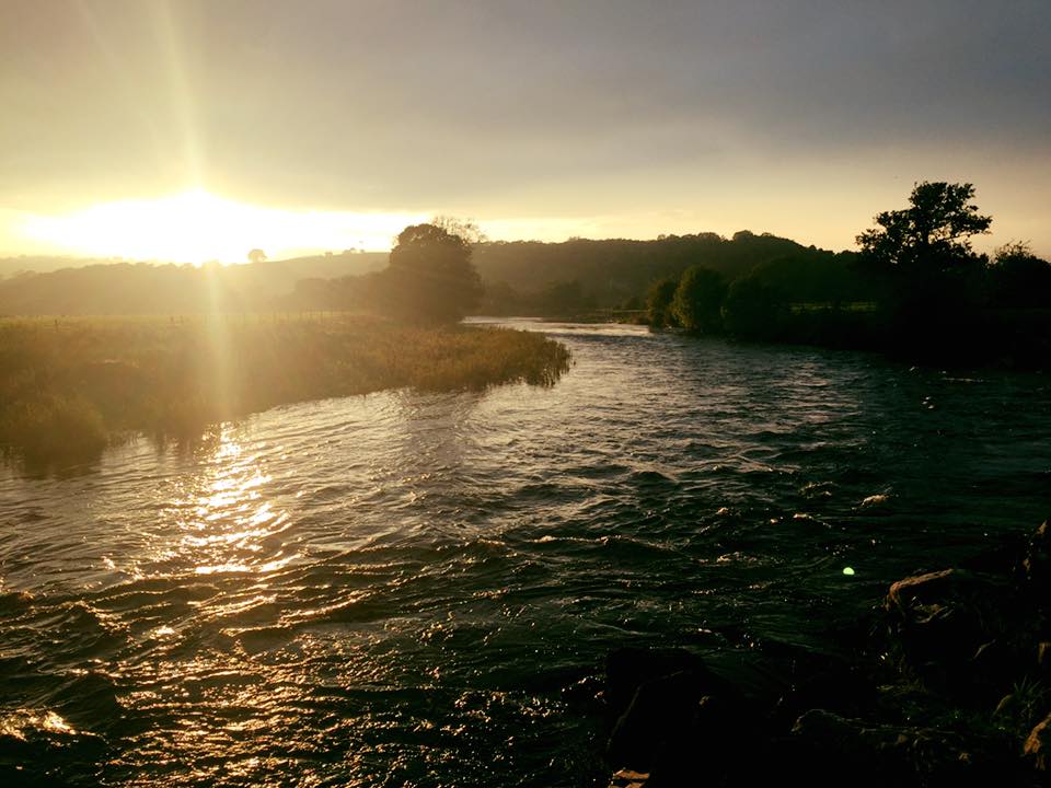 River fishing for grayling in Wales - Fishing in Wales