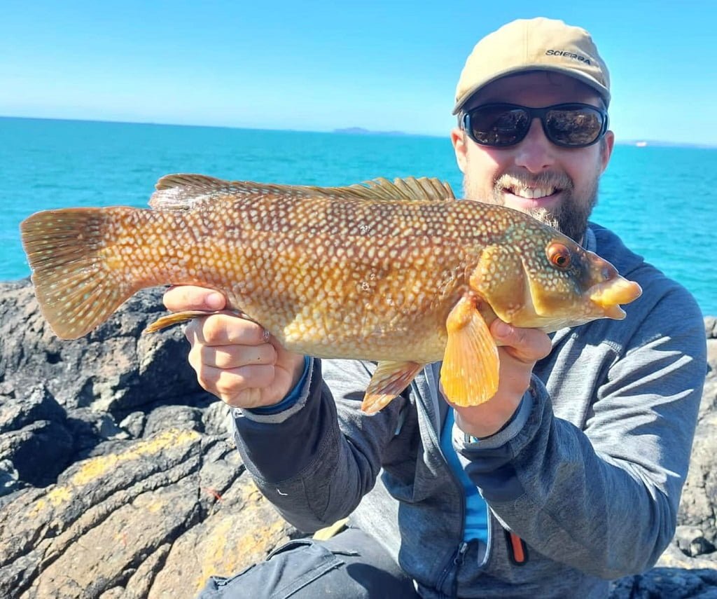 wrasse fishing Wales