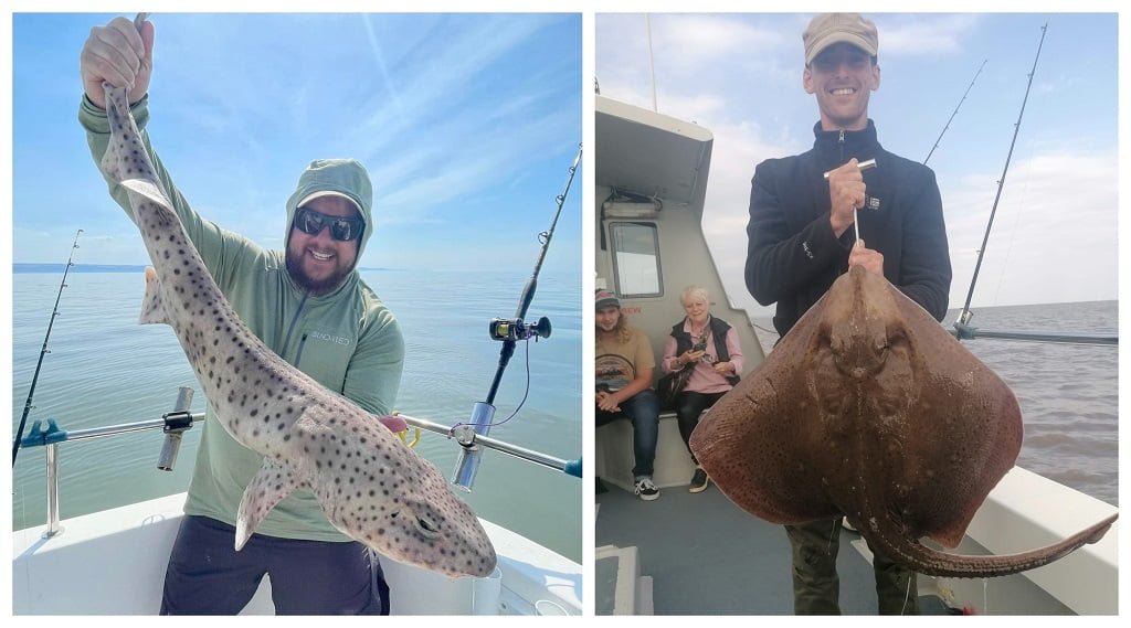 sea fishing in Wales