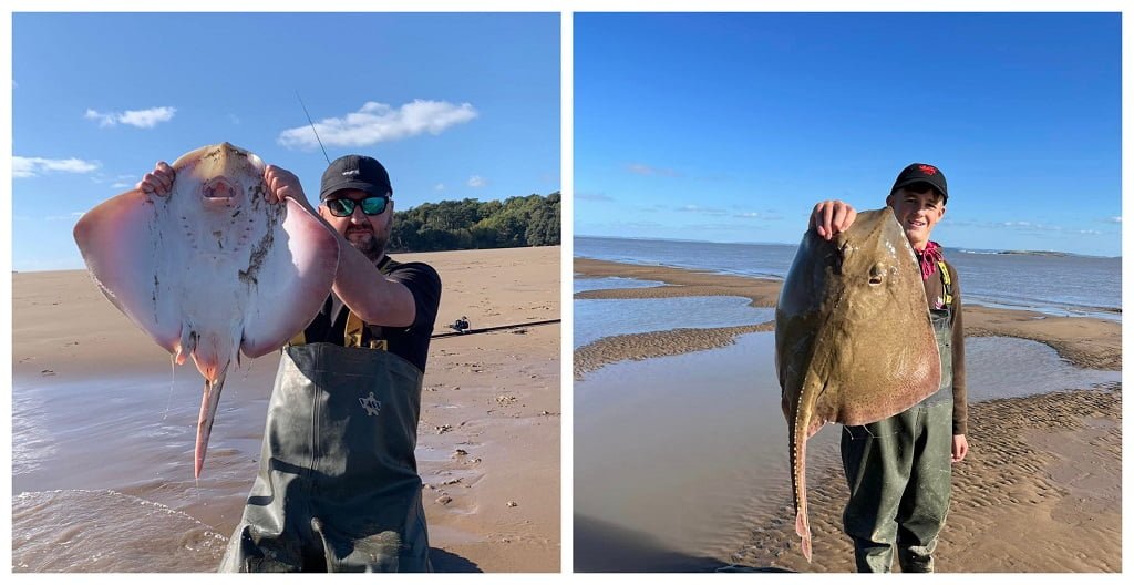 ray fishing wales