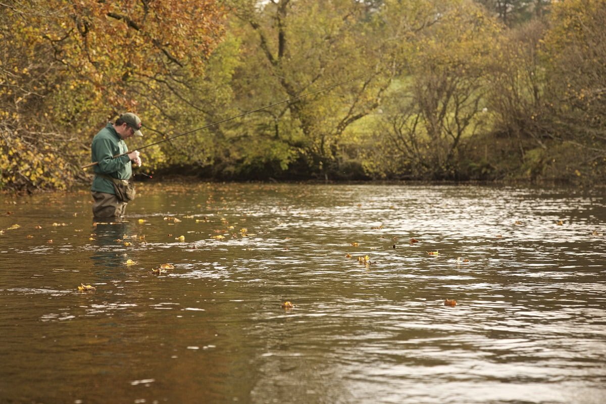 trotting on a Welsh river