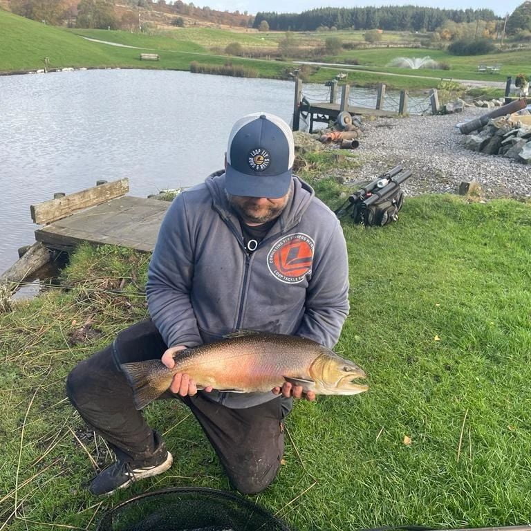 tiger trout wales