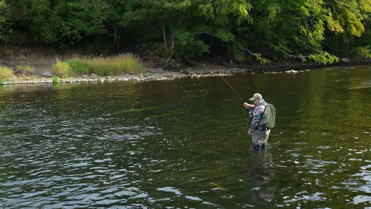 River Taff Fishing Video Osprey Fly Fishing Association Fishing In