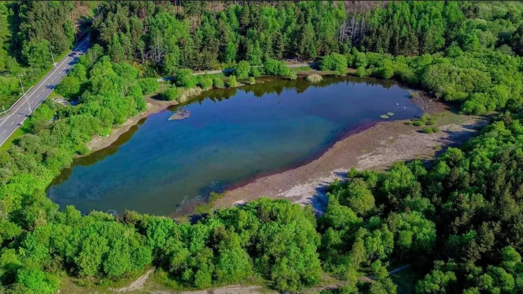 pluck lake swansea