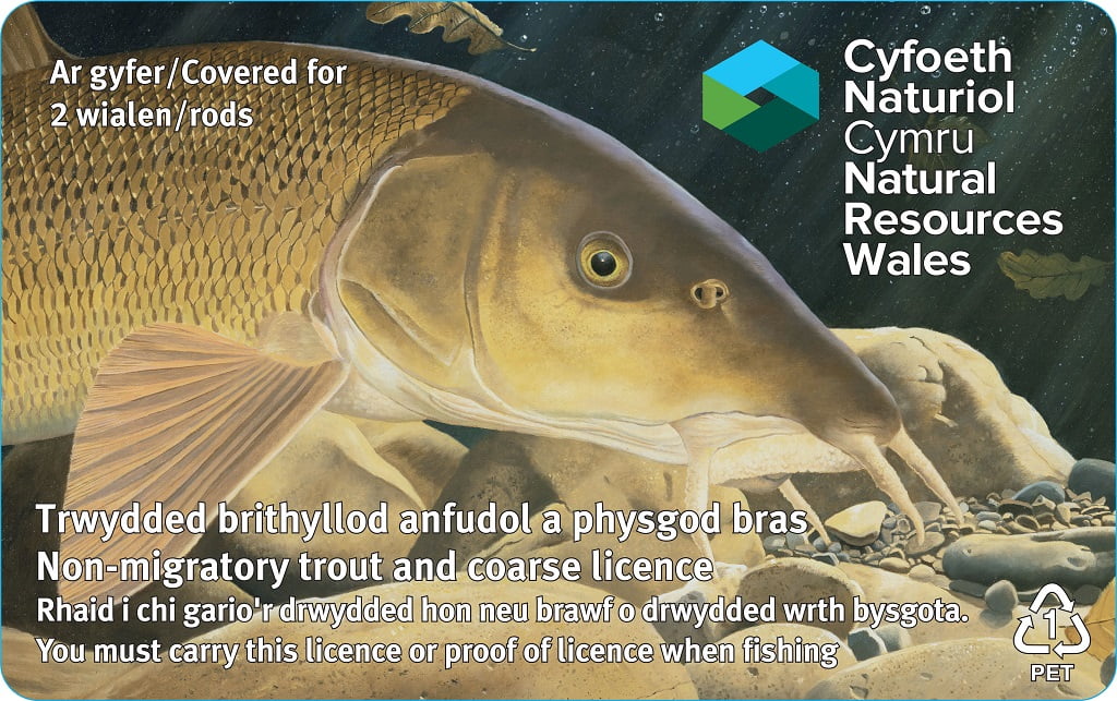 New 2023 Rod Licence Artwork - Fishing in Wales