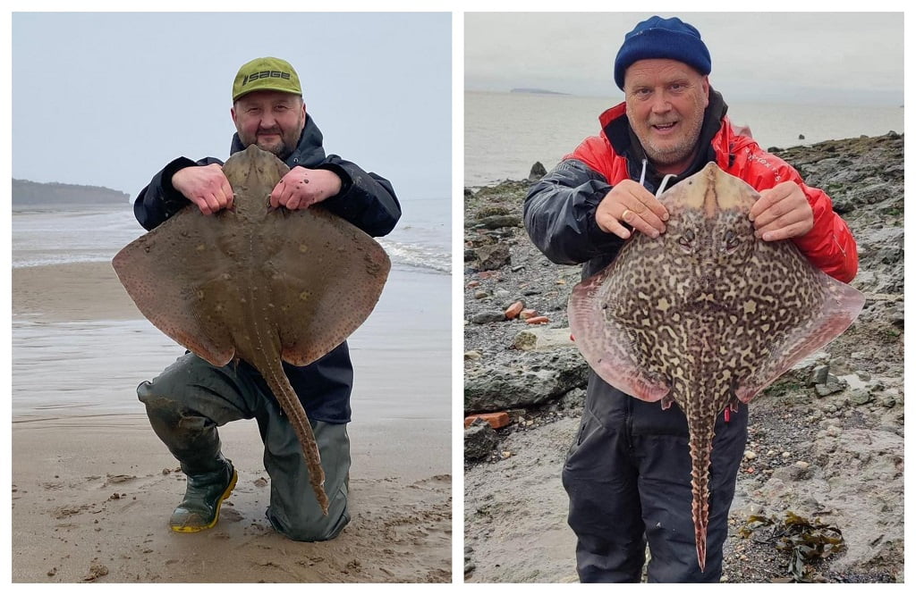 sea fishing reports wales