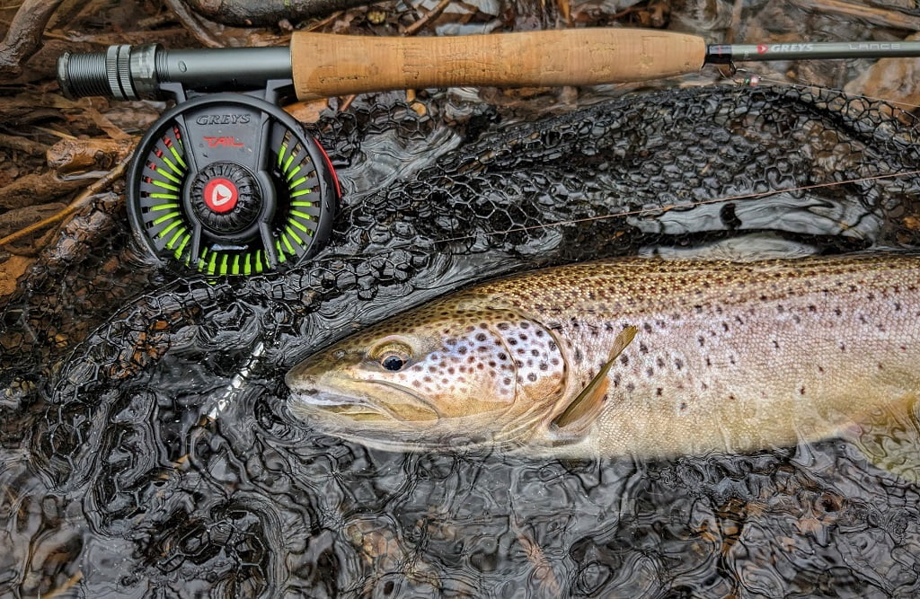 Euro nymphing: great results this summer on the Welsh Dee