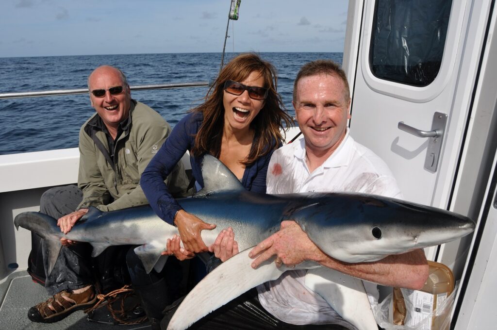 Blue Shark Fishing In Wales - Fishing in Wales