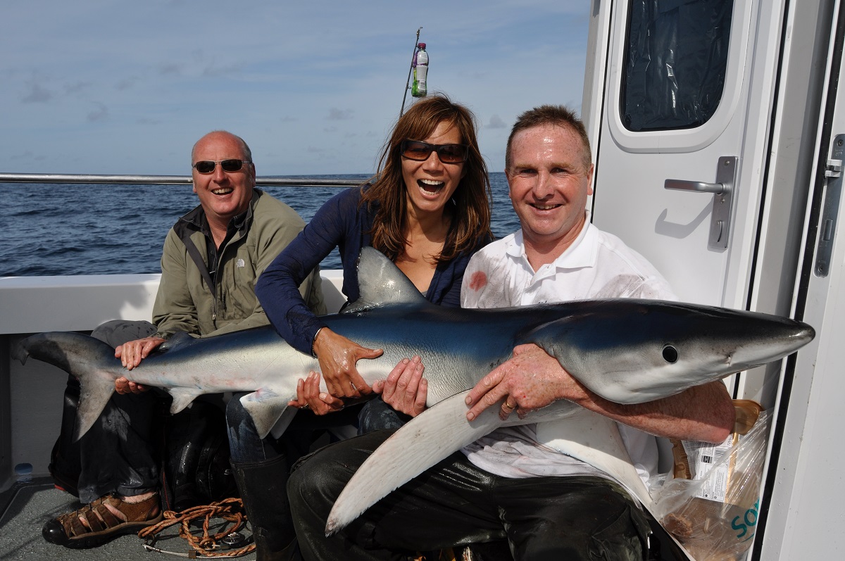 blue shark fishing wales