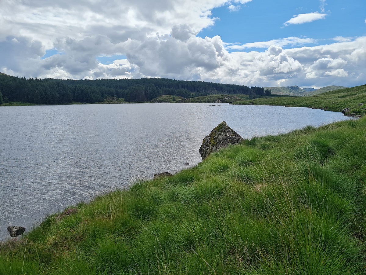 Llyn Diwaunedd
