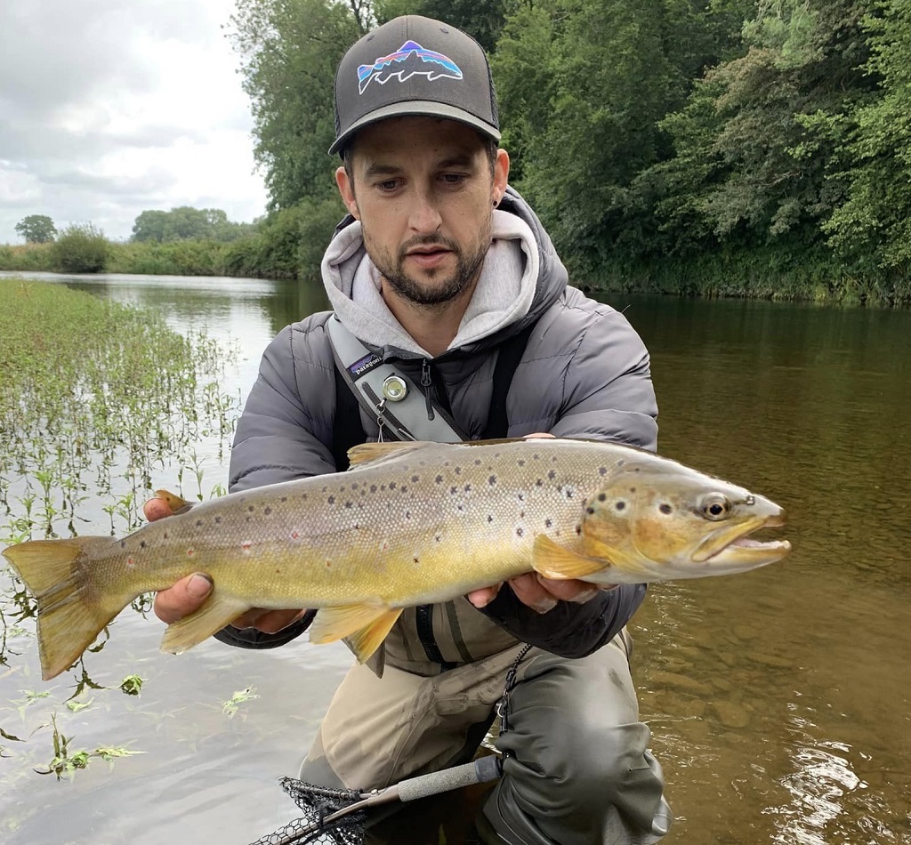 river towy brown trout