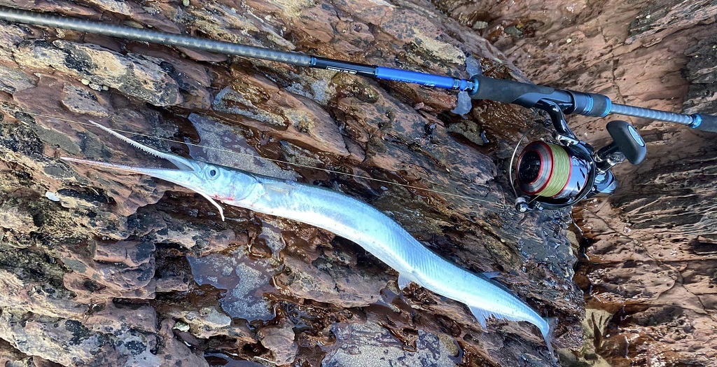 How to Tie Micheal's Garfish Rig