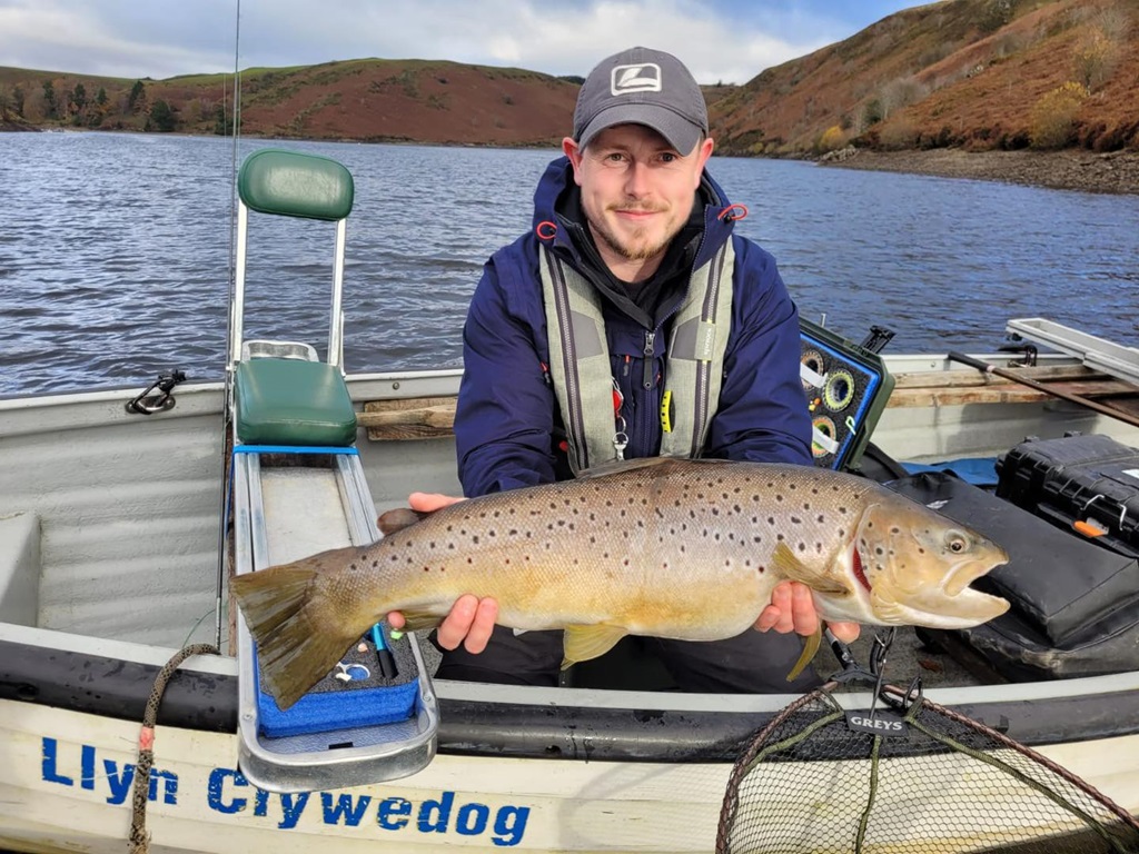 llyn clywedog brown trout