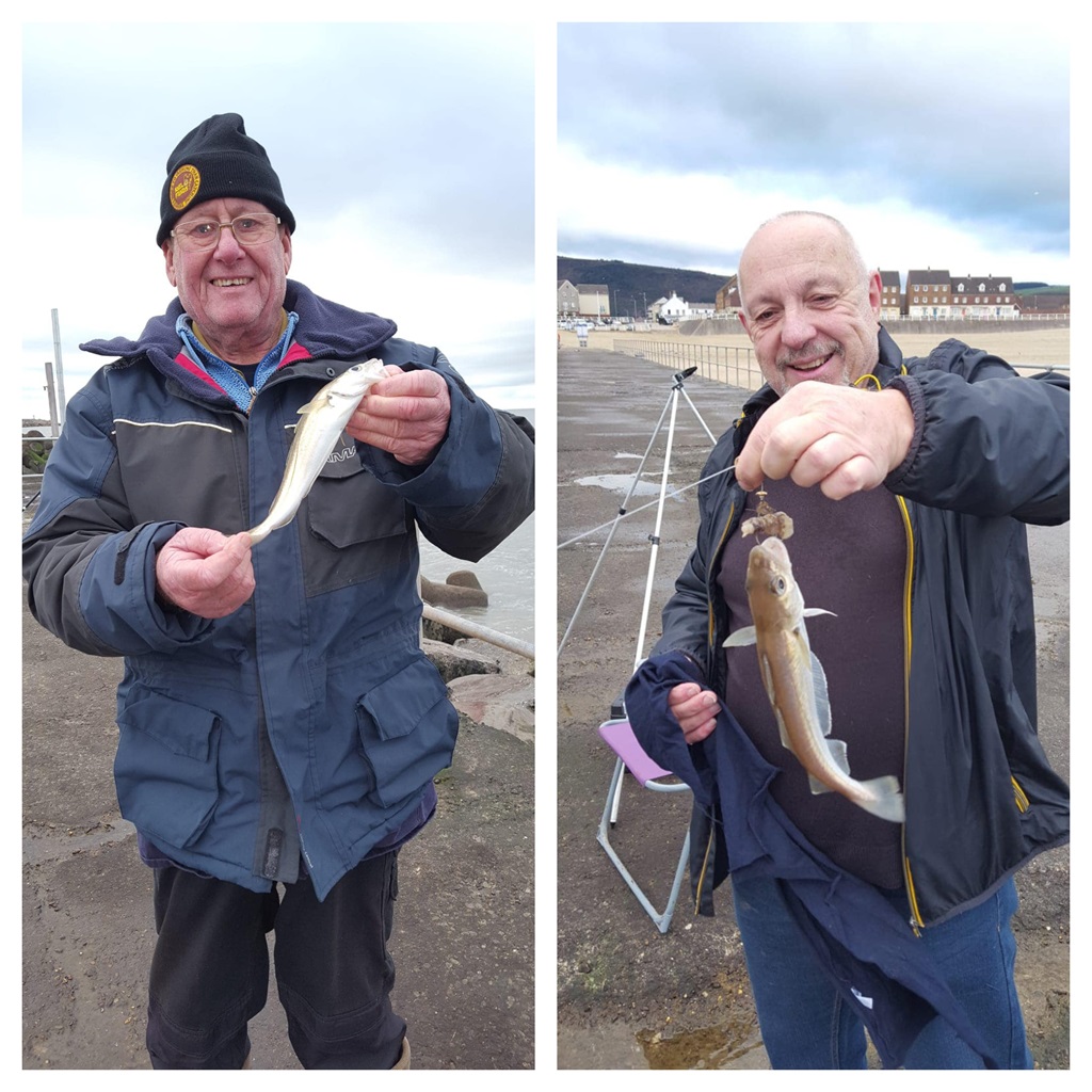 Sea Fishing Catch Reports - Fishing in Wales