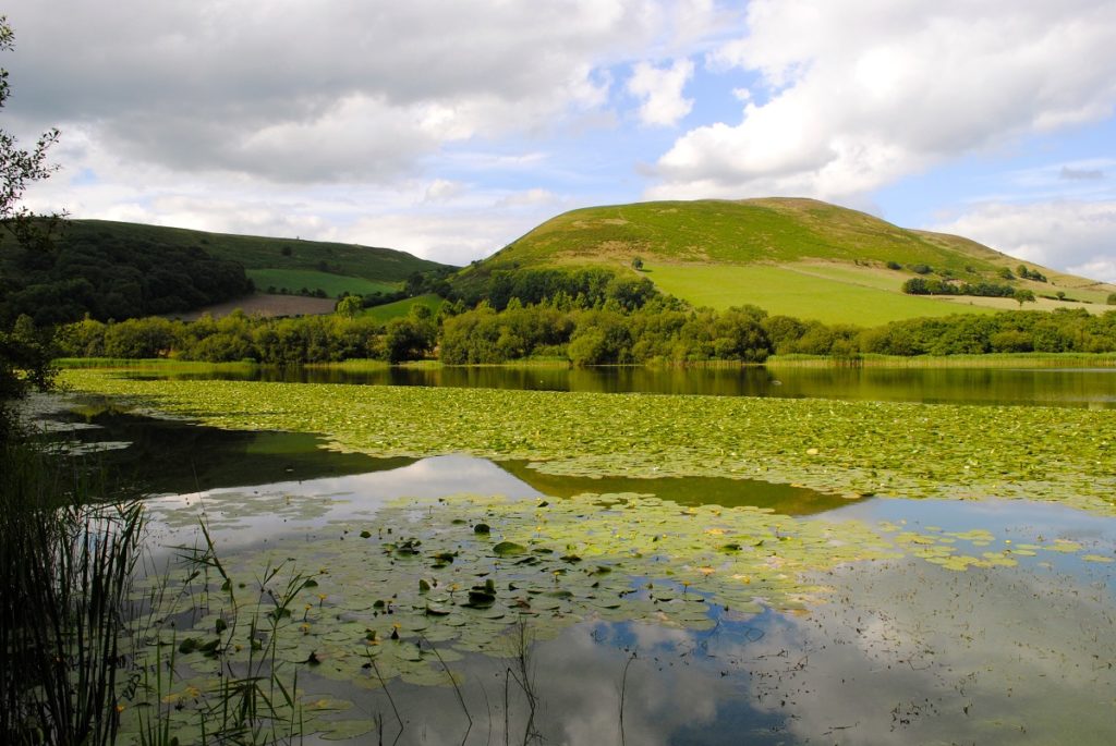 Llanbwchllyn fishing lake