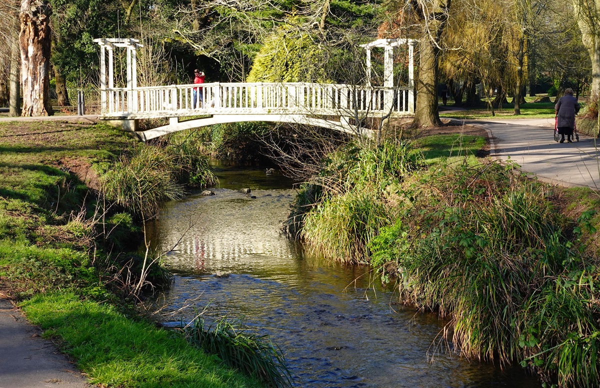 roath park brook fishing